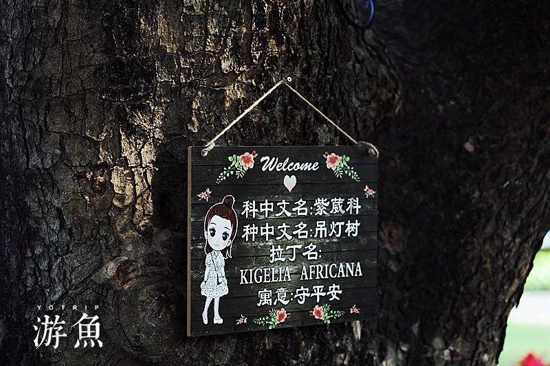 1月30日午间涨停分析