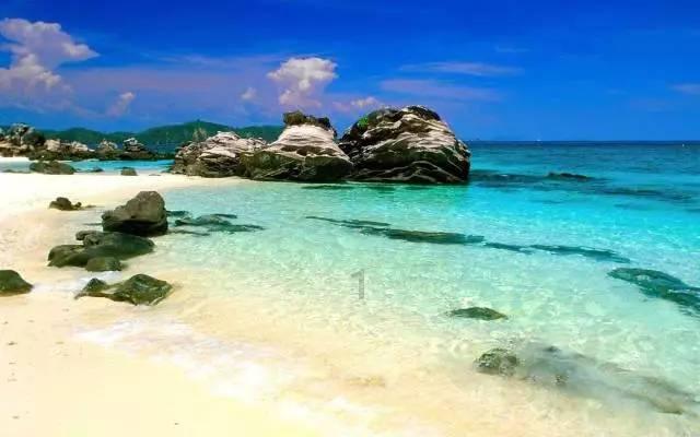 杜近芳、袁世海提携后辈,至此京剧舞台上的叶强变成了叶少兰